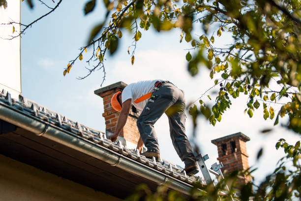 Best Residential Roofing Contractor  in Stanley, ND