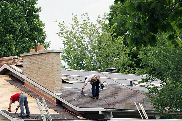 Best Roof Gutter Cleaning  in Stanley, ND