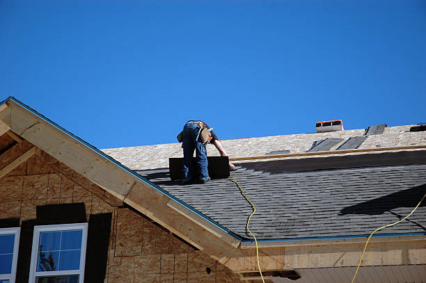 Best Roof Repair Services  in Stanley, ND