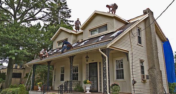 Best Emergency Roof Repair  in Stanley, ND
