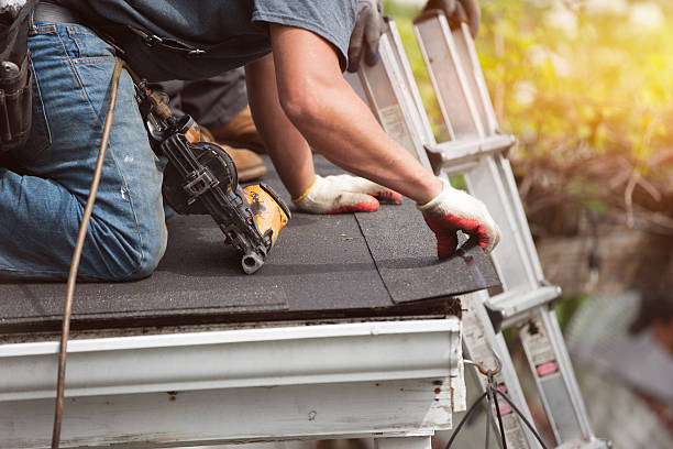 Best Local Roofing Companies  in Stanley, ND